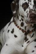 COLLIER PORTE MEDAILLE | ECAILLE DE TORTUE