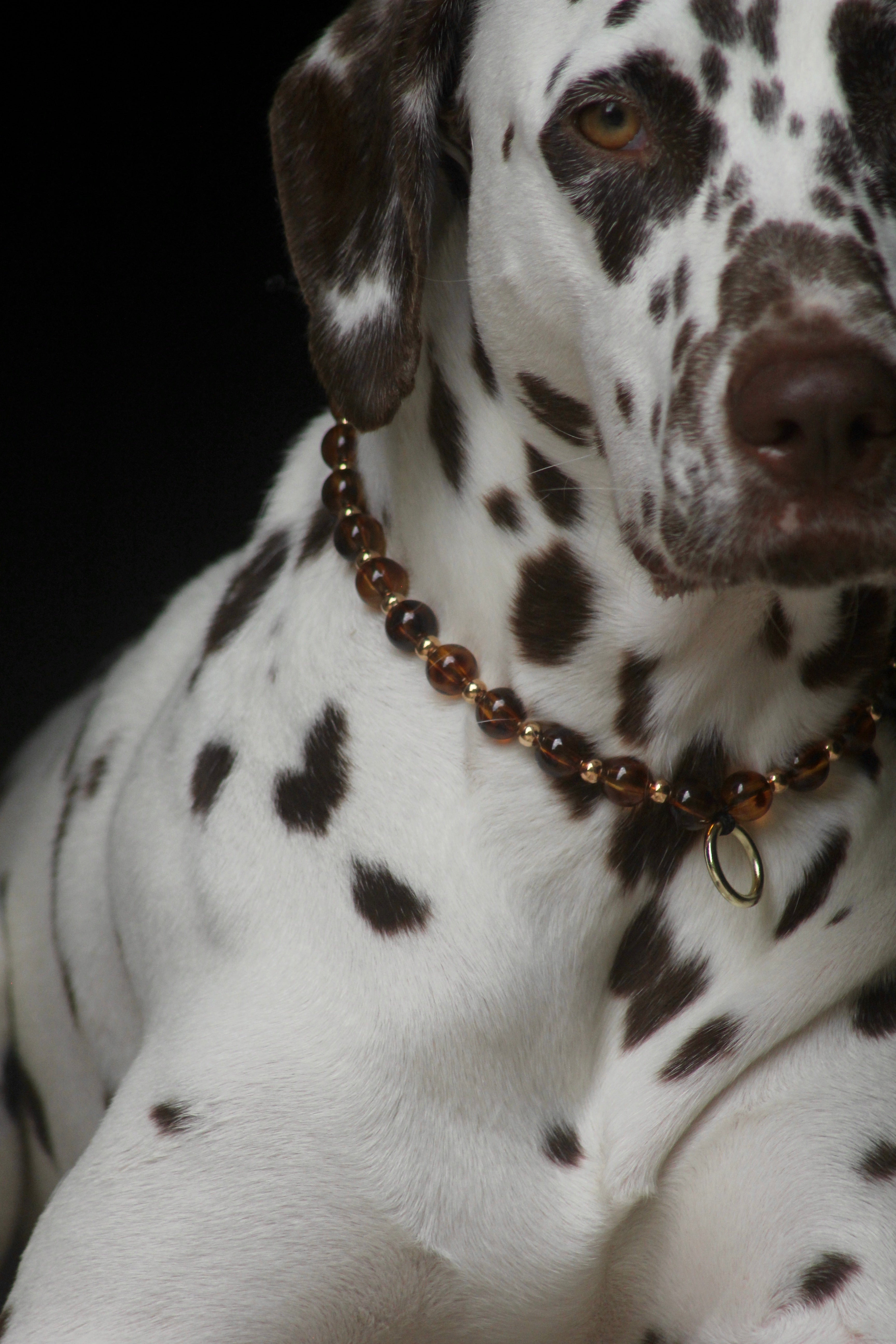 COLLIER PORTE MEDAILLE | ECAILLE DE TORTUE