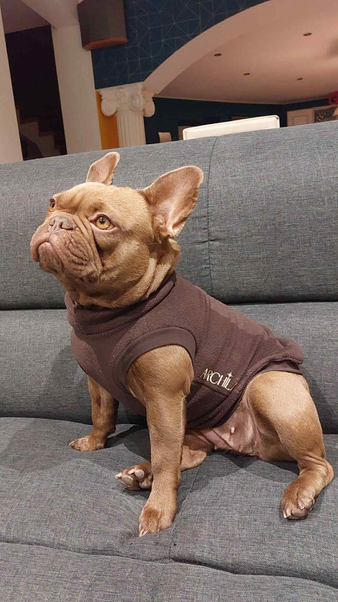 SWEAT GAMME BOULEDOGUE & CARLIN | POLAIRE MARRON