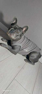 SWEAT GAMME BOULEDOGUE  & CARLIN | POLAIRE TAUPE