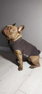 SWEAT GAMME BOULEDOGUE & CARLIN | POLAIRE MARRON