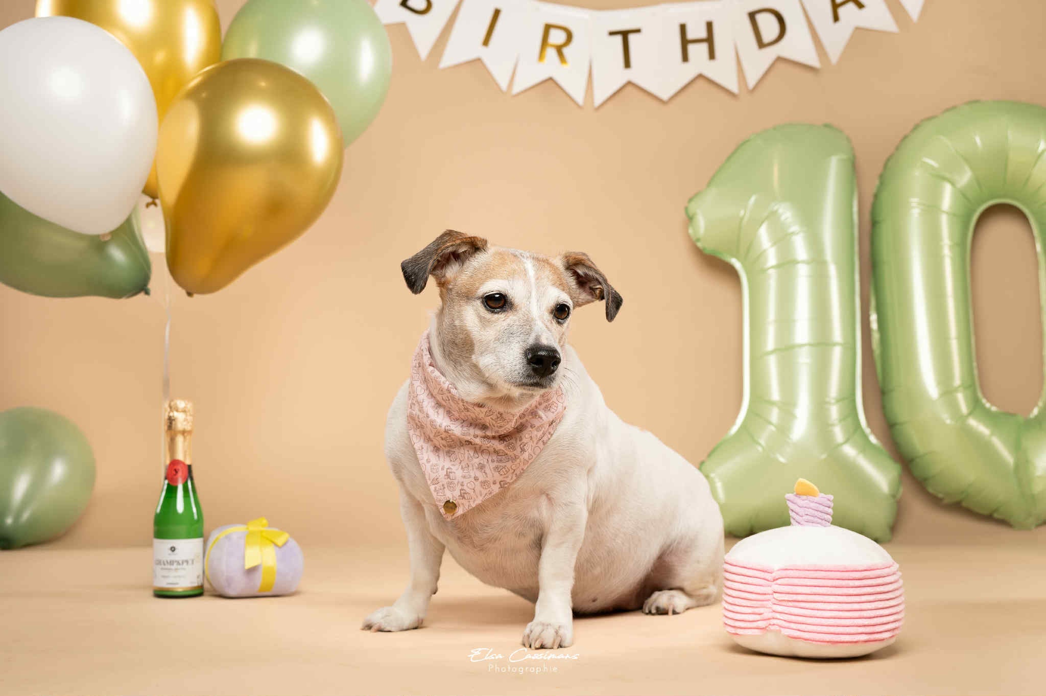 BANDANA A ENFILER | ANNIVERSAIRE